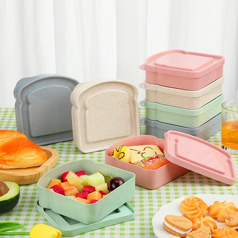 Wadah Sandwich kotak makan sia - Food Storage Made Easy ulasan dan harga