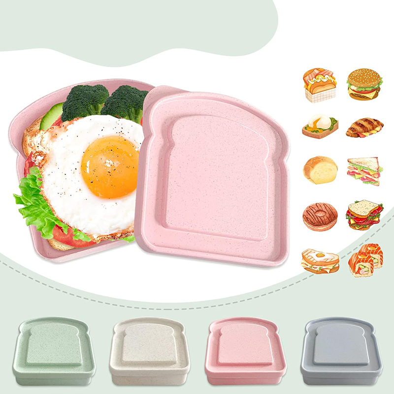 Wadah Sandwich kotak makan sia - Food Storage Made Easy ulasan dan harga