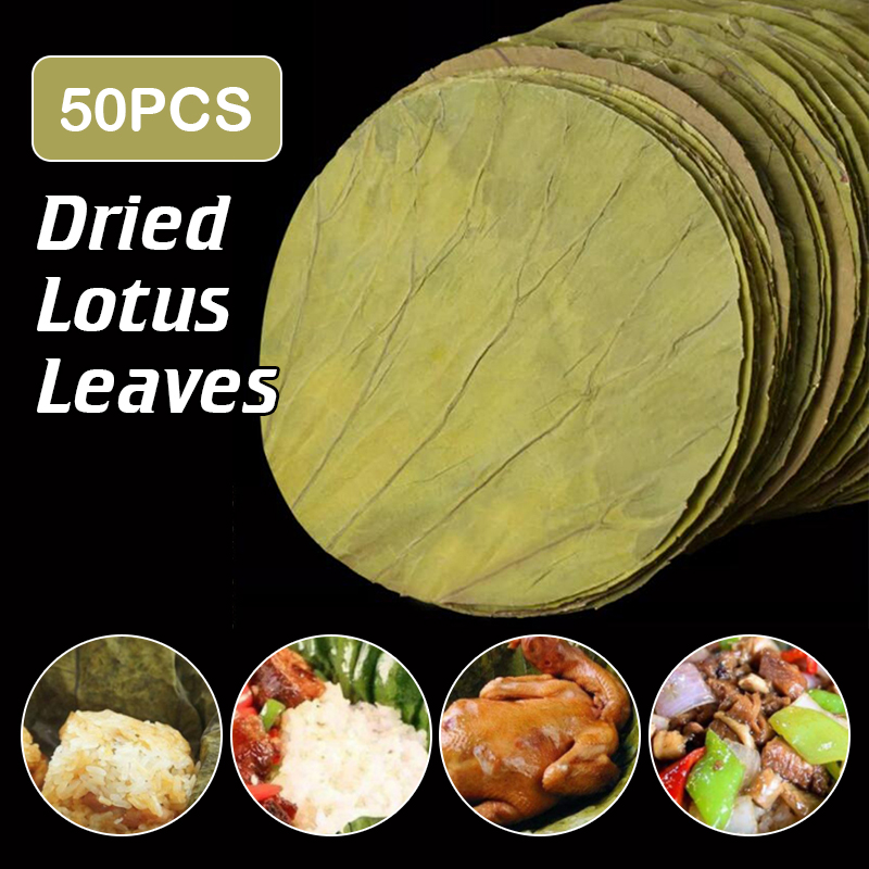 50 Buah 22Cm Cakram Daun Terat - Food Storage Table ulasan dan harga