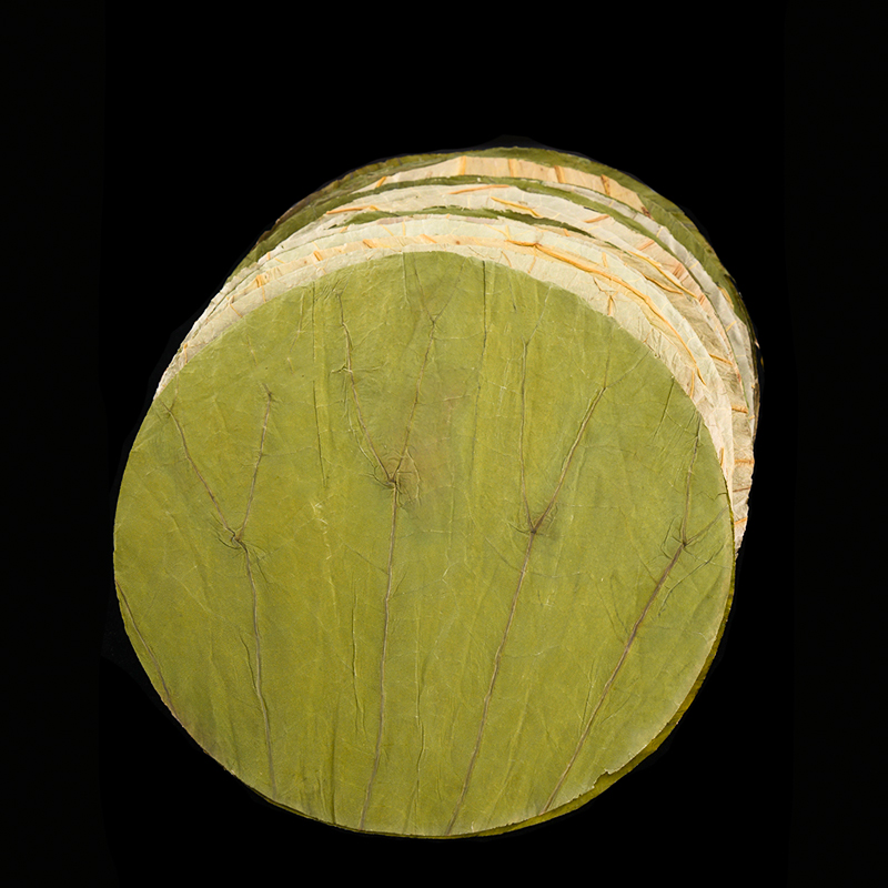 50 Buah 22Cm Cakram Daun Terat - Food Storage Table ulasan dan harga