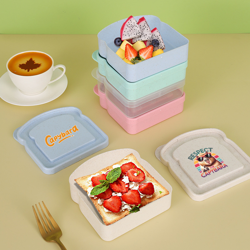 Kotak Penyimpanan Makanan Sand - Food Storage Lunch Box ulasan dan harga