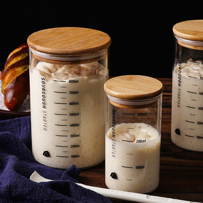 Toples Penyimpanan Sourdough A - Food Storage Practices ulasan dan harga