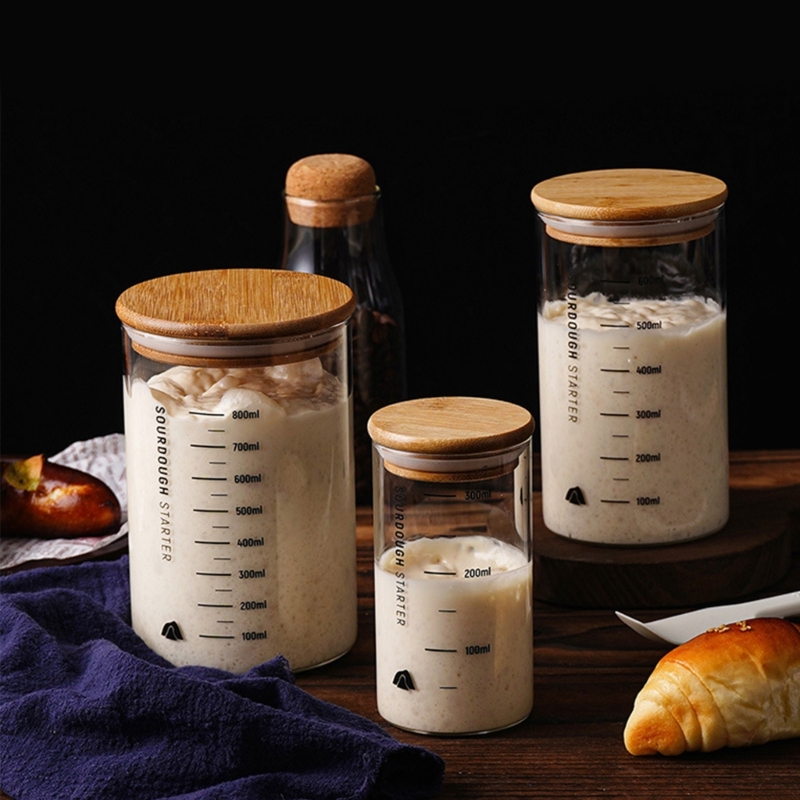 Toples Penyimpanan Sourdough A - Food Storage Practices ulasan dan harga