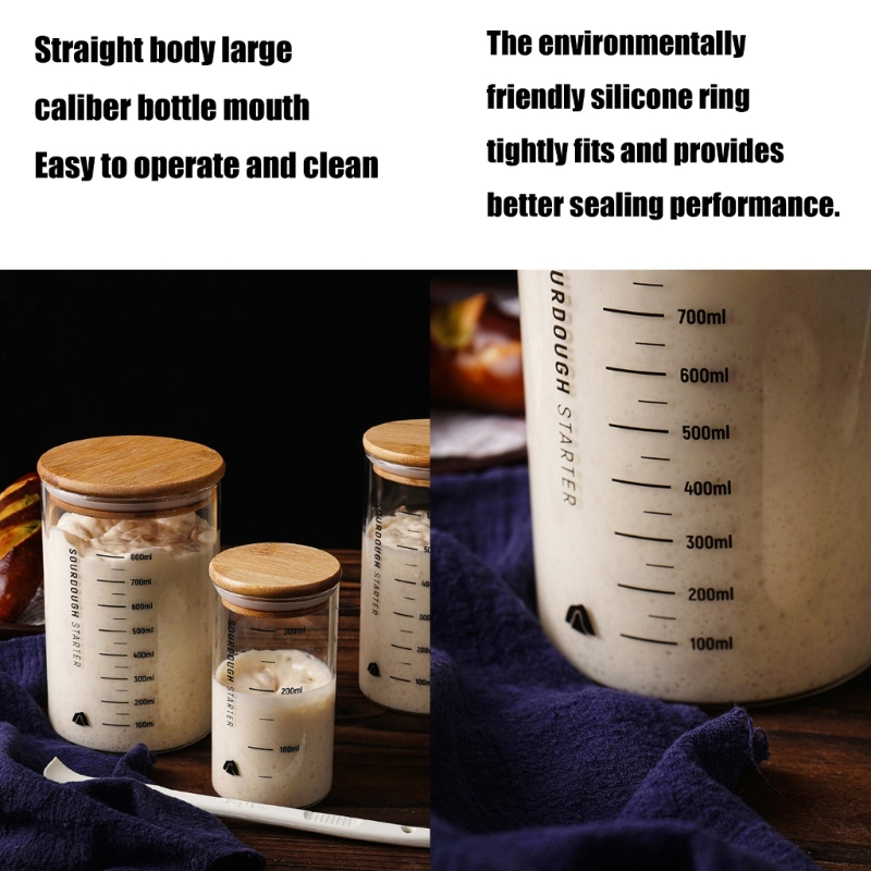 Toples Penyimpanan Sourdough A - Food Storage Practices ulasan dan harga