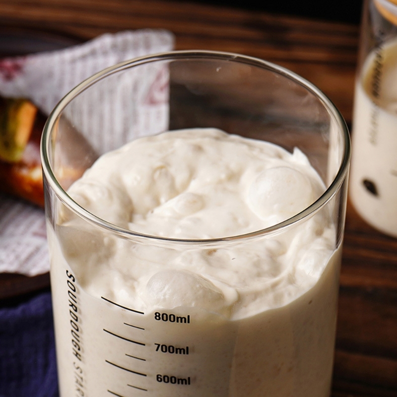 Toples Penyimpanan Sourdough A - Food Storage Practices ulasan dan harga